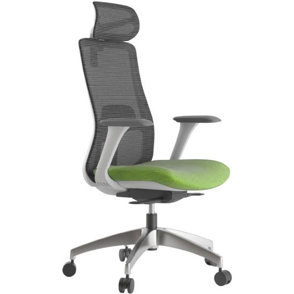 Kancelářská židle WISDOM, šedý plast, zelená